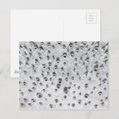 allí, a dryer world briefkaart (Voorkant / Achterkant)