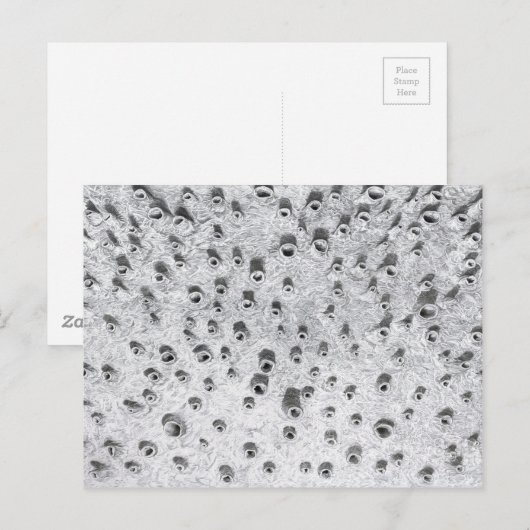 allí, a dryer world briefkaart (Voorkant / Achterkant)