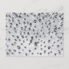 allí, a dryer world briefkaart