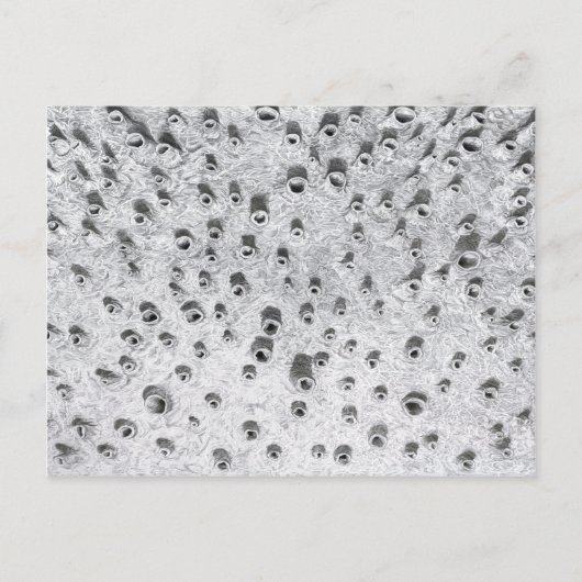 allí, a dryer world briefkaart (Voorkant)