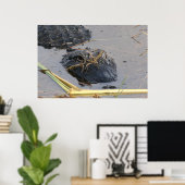 Alli de Alligator Poster (Thuiskantoor)