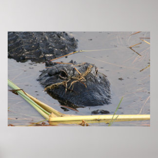 Alli de Alligator Poster