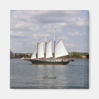 Alliantiemagneet Magneet