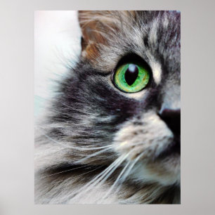 Allie (halve gezichten) poster