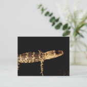 Alligator #3 briefkaart (Staand voorkant)