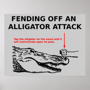 Alligator Aanval Poster