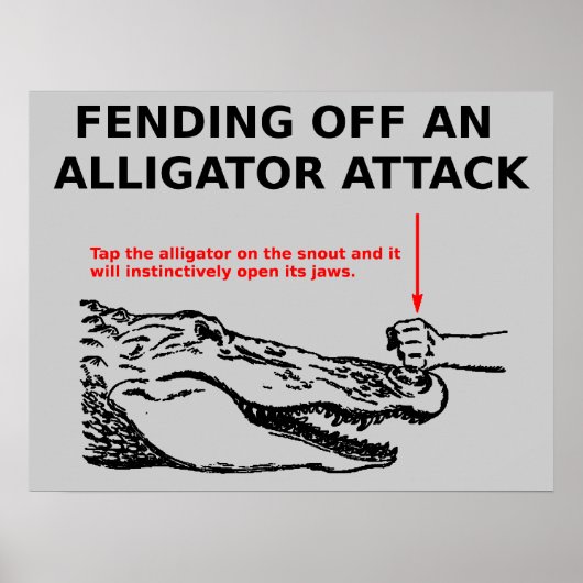 Alligator Aanval Poster (Voorkant)