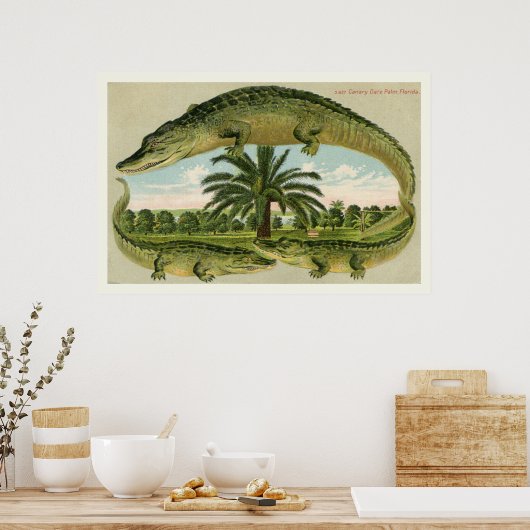 Alligator Afdrukken 1 Poster (Keuken)