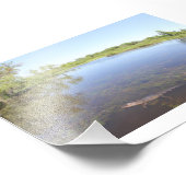 Alligator Alley Foto Afdruk (Hoek)