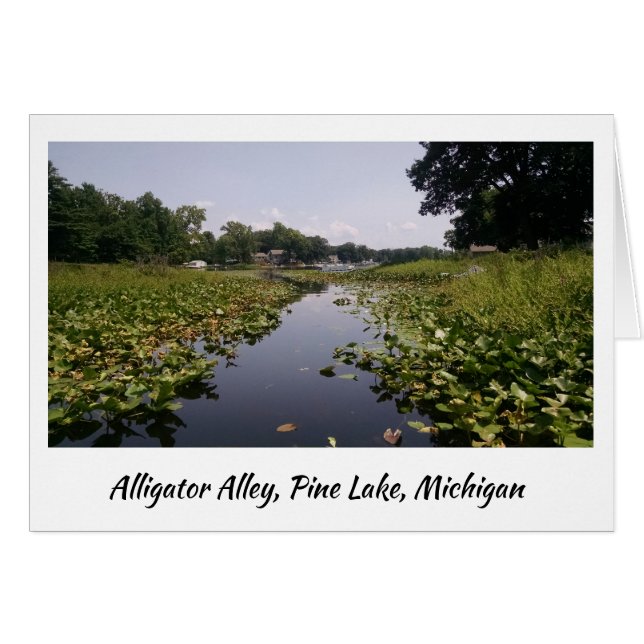 Alligator Alley - Pine Lake (Voorkant Horizontaal)