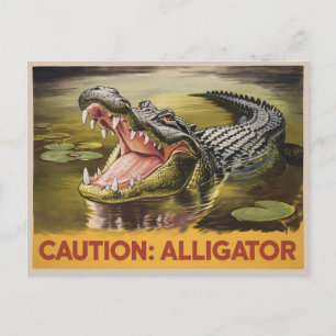 Alligator Attentie Illustratie  Geïnspireerd Briefkaart