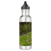 Alligator bij Viera Wetlands Florida Foto Waterfles (Rechts)