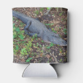 alligator blikjeskoeler (Achterkant)