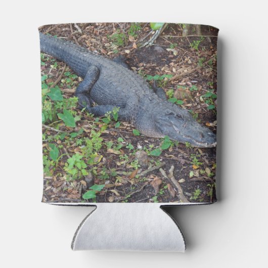 alligator blikjeskoeler (Achterkant)