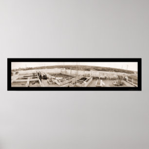 Alligator Boerderij Florida Foto 1910 Poster