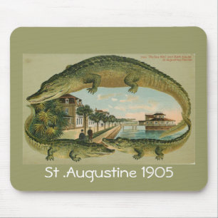 Alligator Border St Augustine Florida 1905, St ... Muismat