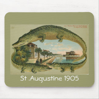 Alligator Border St Augustine Florida 1905, St ... Muismat