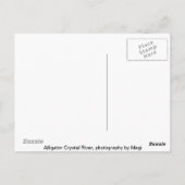 Alligator Briefkaart (Achterkant)