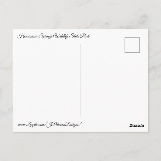 Alligator Briefkaart (Achterkant)