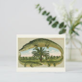  alligator Briefkaart (Staand voorkant)