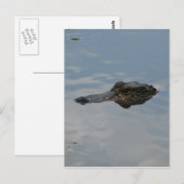 Alligator Briefkaart (Voorkant / Achterkant)