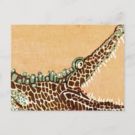 Alligator Briefkaart (Voorkant)