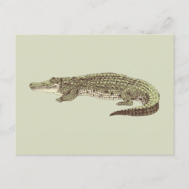 Alligator-Briefkaart Briefkaart