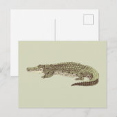 Alligator-Briefkaart Briefkaart (Voorkant / Achterkant)