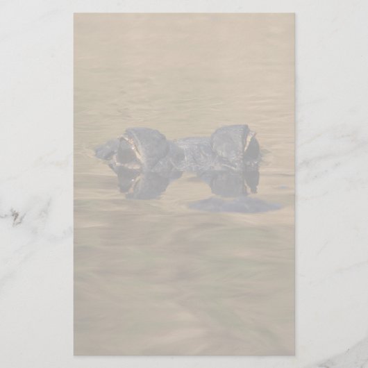 alligator briefpapier (Voorkant)