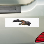 Alligator Bumpersticker (Op auto)