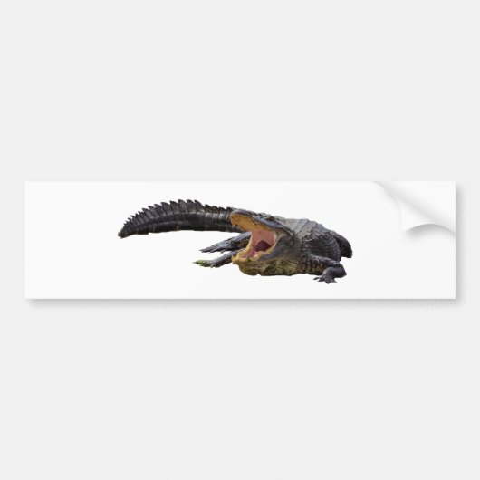 Alligator Bumpersticker (Voorkant)