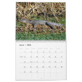 Alligator Calendar Kalender (Mar 2026)