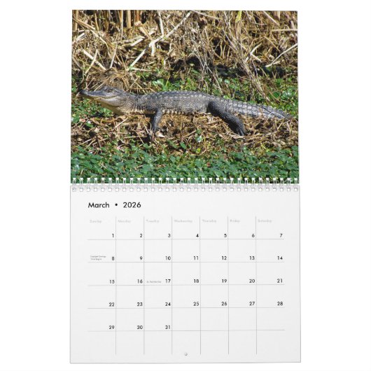 Alligator Calendar Kalender (Mar 2026)