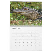 Alligator Calendar Kalender (Jan 2026)