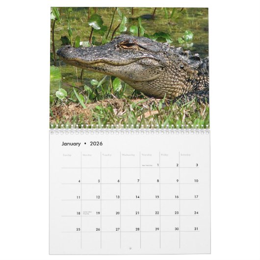 Alligator Calendar Kalender (Jan 2026)