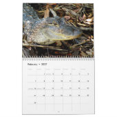 Alligator Calendar Kalender (Feb 2027)
