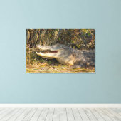 Alligator, Canaveral National Seashore, Florida Canvas Afdruk (Insitu (Houten vloer))
