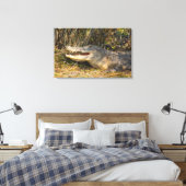 Alligator, Canaveral National Seashore, Florida Canvas Afdruk (Insitu (Slaapkamer))