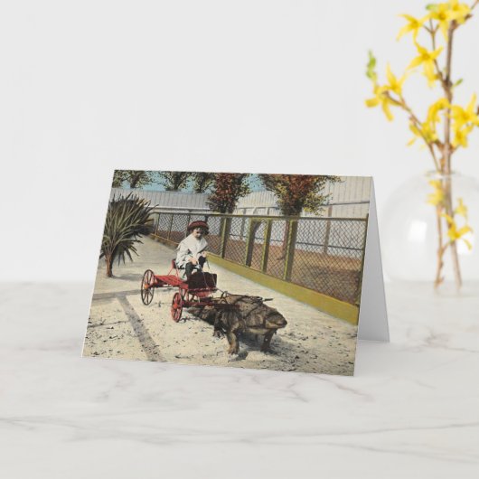 Alligator Cart Kaart (Gele Bloem)