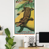 Alligator ( Chinese Firecracker) Poster (Thuiskantoor)