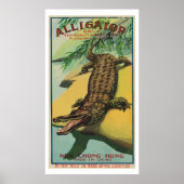 Alligator ( Chinese Firecracker) Poster (Voorkant)