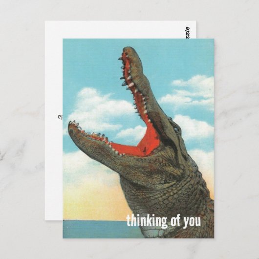 Alligator Chomp Briefkaart (Voorkant / Achterkant)