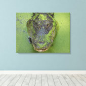 Alligator Close-Up Foto, Wildlife Natuur Prints (Insitu (Houten vloer))