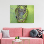 Alligator Close-Up Foto, Wildlife Natuur Prints (Insitu (Woonkamer))