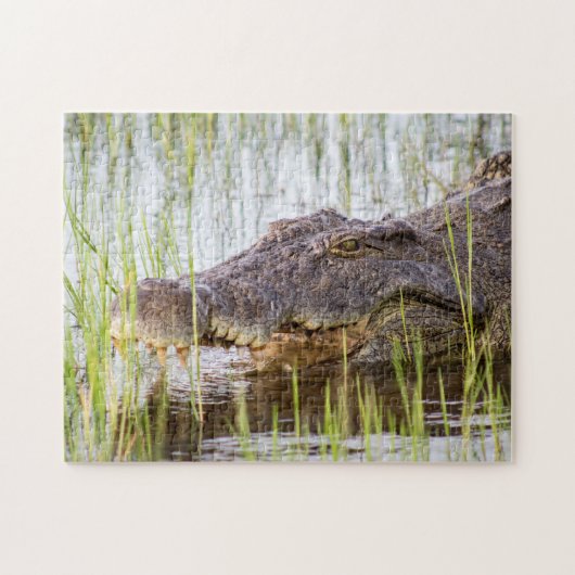 Alligator Crocodiles Wildlife Africa Legpuzzel (Horizontaal)