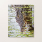 Alligator Crocodiles Wildlife Africa Legpuzzel (Verticaal)