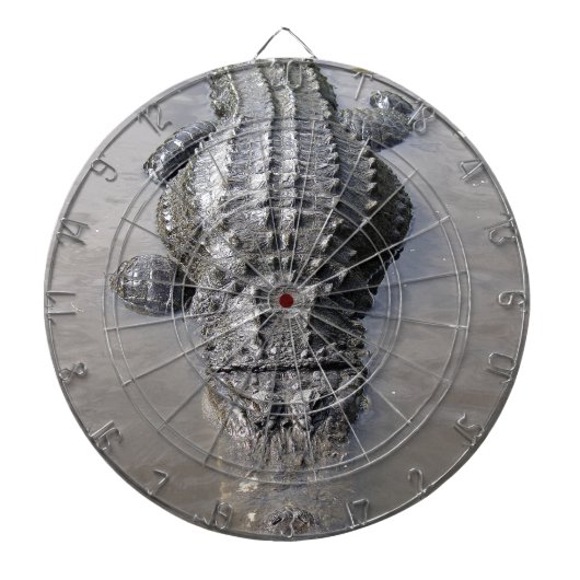 Alligator Dartbord (Voorkant)