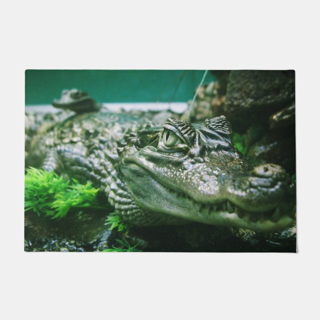 Alligator Deurmat (Voorkant)