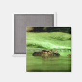 Alligator die uit het water gluurt Magneet (Voorkant / Achterkant)