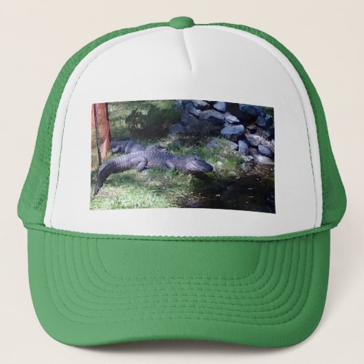 Alligator! Dierenpark ontwerp Trucker Pet (Voorkant)